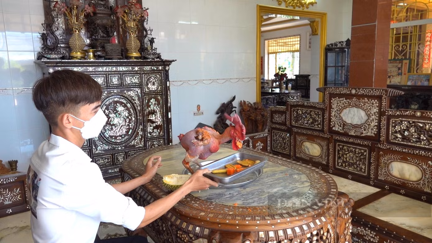 Một trong những loại trái cây mà "con gà khỏa thân" thích ăn là sầu riêng thơm ngon. Ảnh: Bảo Phong. Một trong những loại trái cây mà "con gà khỏa thân" thích ăn là sầu riêng thơm ngon. Ảnh: Bảo Phong.