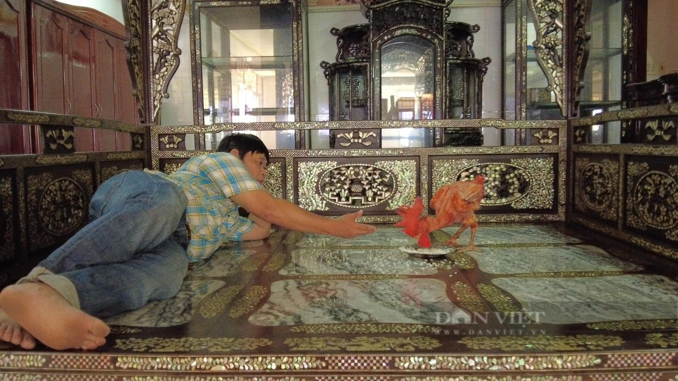 Rất nhiều người hiếu kỳ đã tới Cần Thơ để xem "con gà khỏa thân" có một không hai ở miền Tây. Ảnh: Bảo Phong.