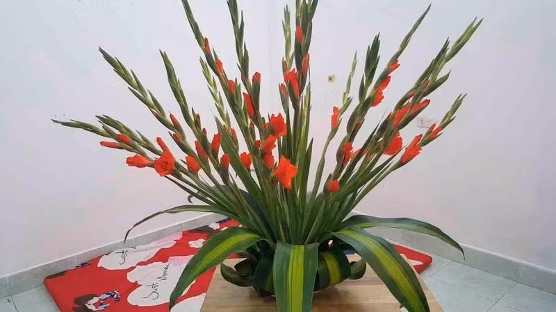 Nên chú ý đến thời gian hoa nở Nên chú ý đến thời gian hoa nở