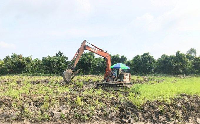 Theo chấp thuận thì Long An và Đồng Tháp sẽ được chuyển đổi mục đích sử dụng của 187 ha đất lúa để làm ba dự án giao thông. (Ảnh minh họa họa) Theo chấp thuận thì Long An và Đồng Tháp sẽ được chuyển đổi mục đích sử dụng của 187 ha đất lúa để làm ba dự án giao thông. (Ảnh minh họa họa)