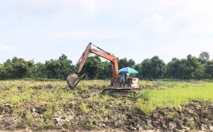 Theo chấp thuận thì Long An và Đồng Tháp sẽ được chuyển đổi mục đích sử dụng của 187 ha đất lúa để làm ba dự án giao thông. (Ảnh minh họa họa)