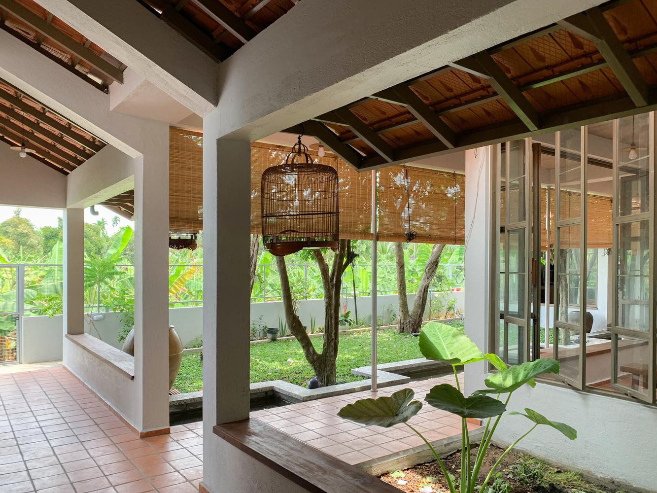 “Chúng tôi cũng xem xét ảnh hưởng ngược lại của rễ cây đối với nền móng công trình trong tương lai gần. Quá trình giữ cây để thi công là một trận chiến khó khăn khi chúng tôi ngày ngày phải trực tiếp giám sát quá trình ép cọc neo để hạn chế tối đa việc tổn hại đến bộ rễ và cành chính của cây”, đại diện nhóm KTS nói.