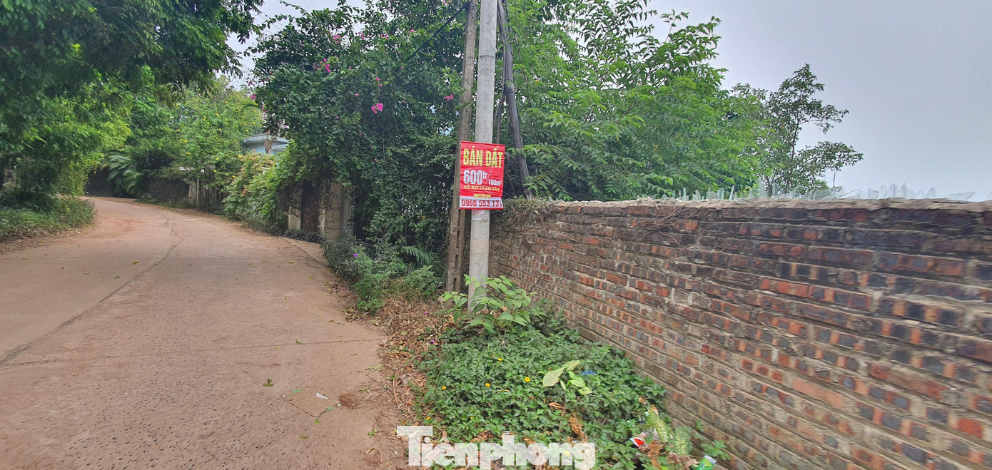 Theo Nghị định số 02/2022/NĐ-CP, từ ngày 1/3/2022, cá nhân, tổ chức kinh doanh BĐS phải thành lập doanh nghiệp theo quy định của pháp luật về doanh nghiệp hoặc hợp tác xã có ngành nghề kinh doanh BĐS.