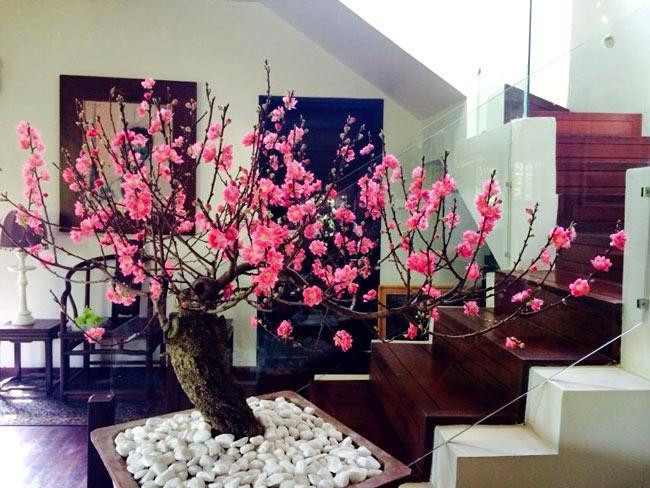 Chọn cây, hoa có kích thước hài hòa với không gian và đặt ở vị trí phù hợp Chọn cây, hoa có kích thước hài hòa với không gian và đặt ở vị trí phù hợp