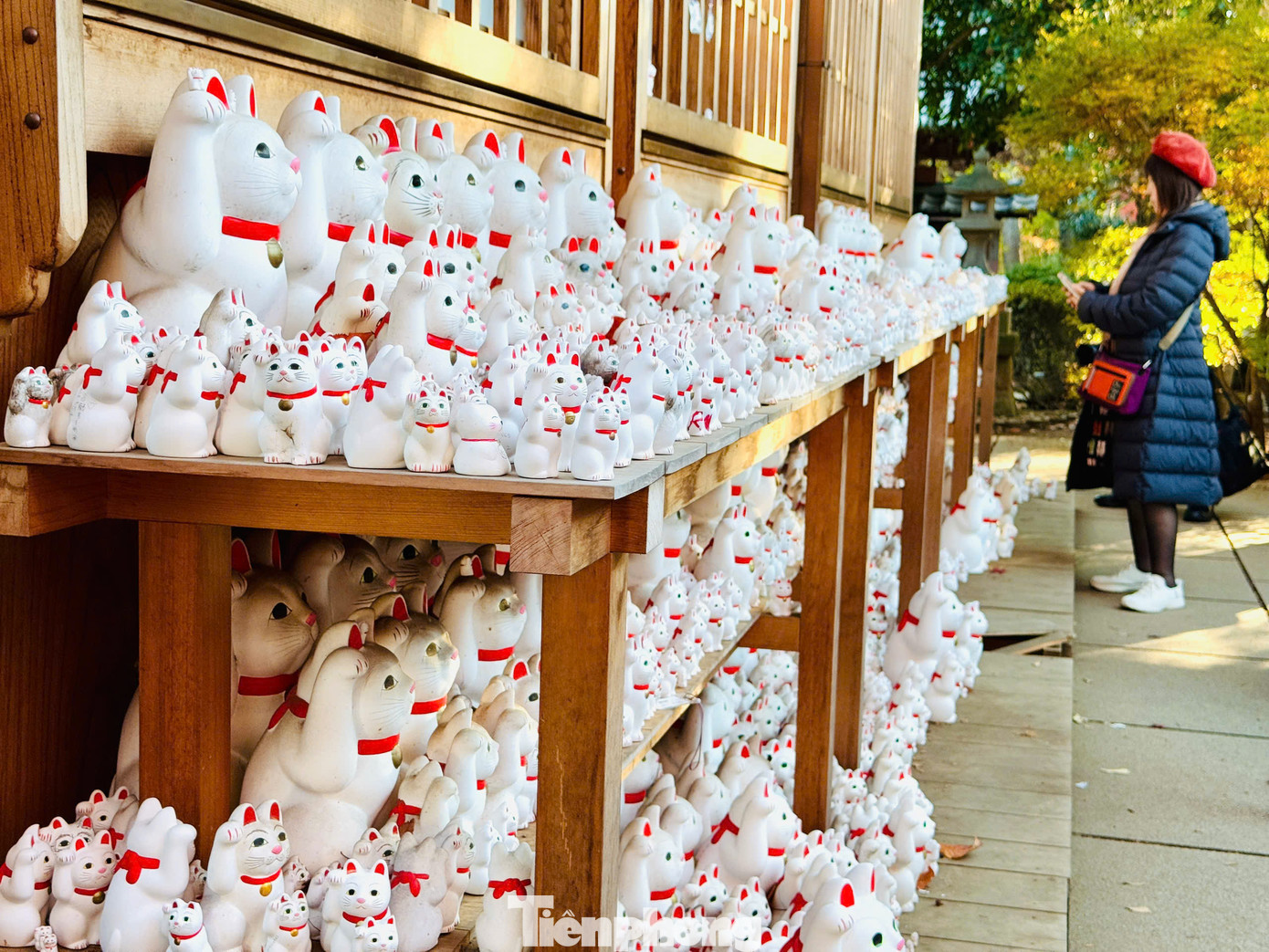 Maneki-neko là chú mèo thần tài nổi tiếng của Nhật Bản. Nó được xem là biểu tượng của xứ sở Phù Tang và là con vật mang lại nhiều may mắn cho người dân nơi đây. Do vậy, nhiều người luôn coi mèo Maneki-neko là lá bùa may mắn đem lại nhiều tài lộc.
