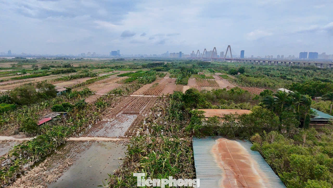 Tính đến hết ngày 11/9/2024, tổng diện tích đất nông nghiệp trên địa bàn huyện Đông Anh đã bị ngập 1.066/1.191 ha, trong đó có 501 ha hoa màu, 453 ha cây ăn quả, 112 ha cây quất cảnh và đào cảnh. Tổng diện tích khu dân cư bị ngập 41/201 ha.