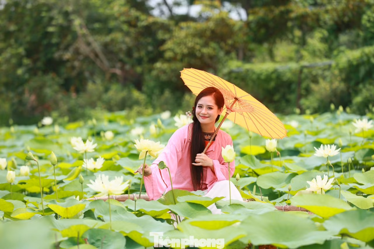"Mình biết đến đầm sen này qua những người bạn. Mọi năm mình hay chụp với sen đỏ ở Hồ Tây, năm nay quyết định chụp sen trắng với áo dài", bạn T.Nga chia sẻ.