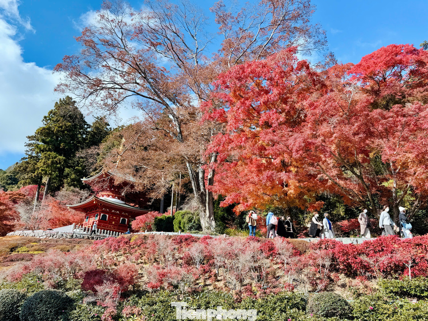 Katsuo-ji là ngôi chùa nằm ở Mino, phía bắc thành phố Osaka. Nằm trên ngọn núi bao phủ bởi những tán phong, đây vốn là nơi ngắm cảnh lá đỏ nổi tiếng nhất Osaka. Katsuo-ji là ngôi chùa nằm ở Mino, phía bắc thành phố Osaka. Nằm trên ngọn núi bao phủ bởi những tán phong, đây vốn là nơi ngắm cảnh lá đỏ nổi tiếng nhất Osaka.