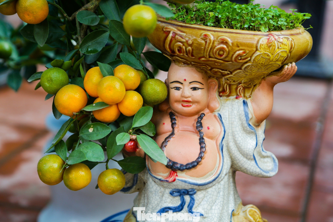 Cây quất bonsai được trồng vào chậu, lọ nhỏ có thể đặt ở bàn trà hoặc các vị trí trong căn hộ có diện tích nhỏ. Cây quất bonsai được trồng vào chậu, lọ nhỏ có thể đặt ở bàn trà hoặc các vị trí trong căn hộ có diện tích nhỏ.