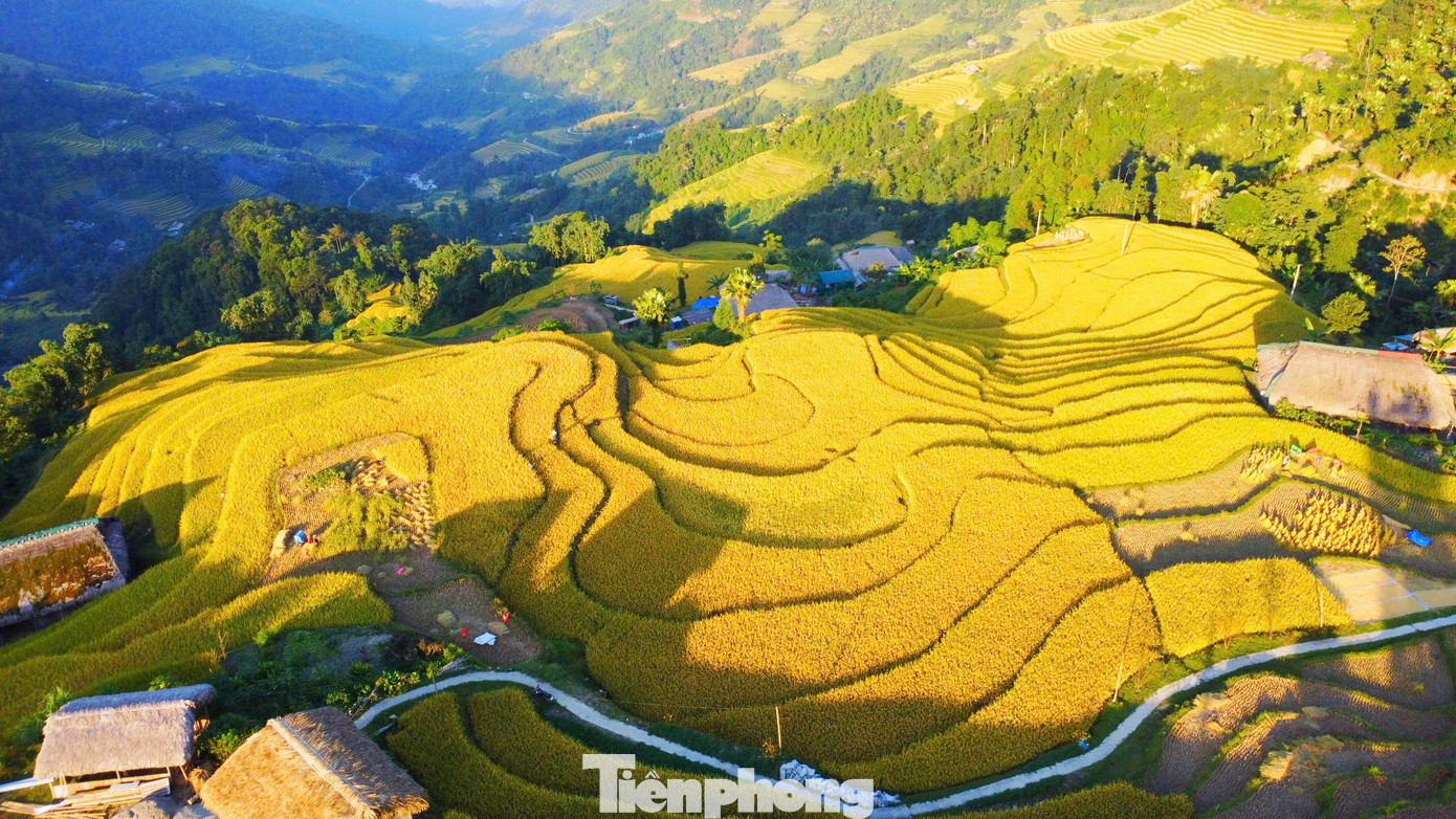 Ruộng bậc thang ở Xà Phìn trải dài, như những dải lụa mềm mại uốn lượn quanh những nếp nhà sàn mái cọ rêu phong.