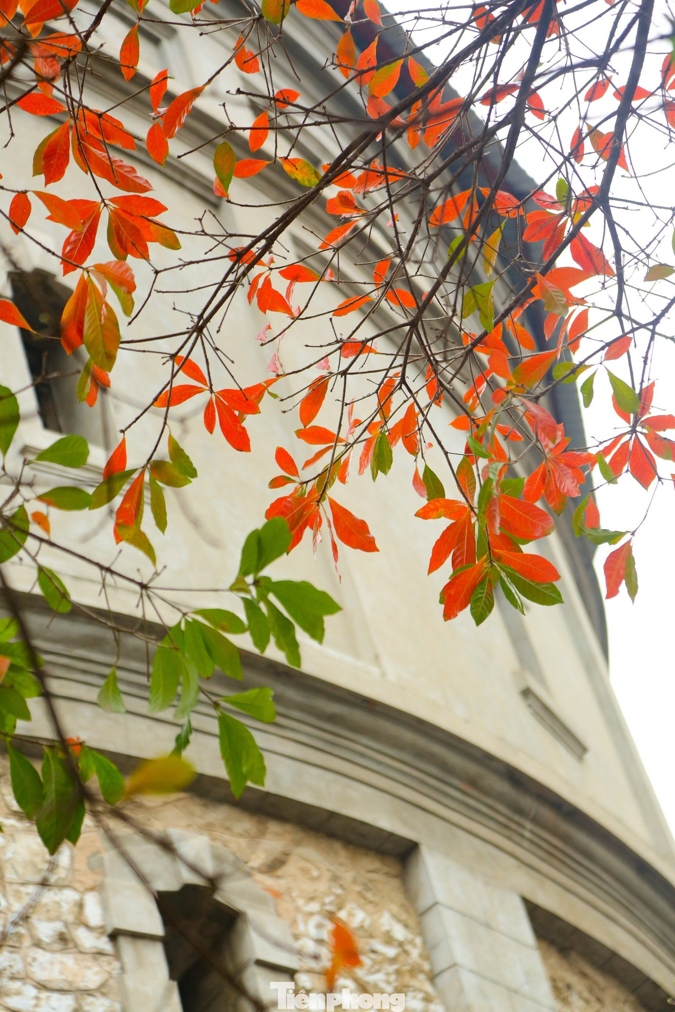 Nhiều bạn trẻ tranh thủ ngày cuối tuần đi dạo phố chụp ảnh check-in lưu giữ lại khoảng khắc.