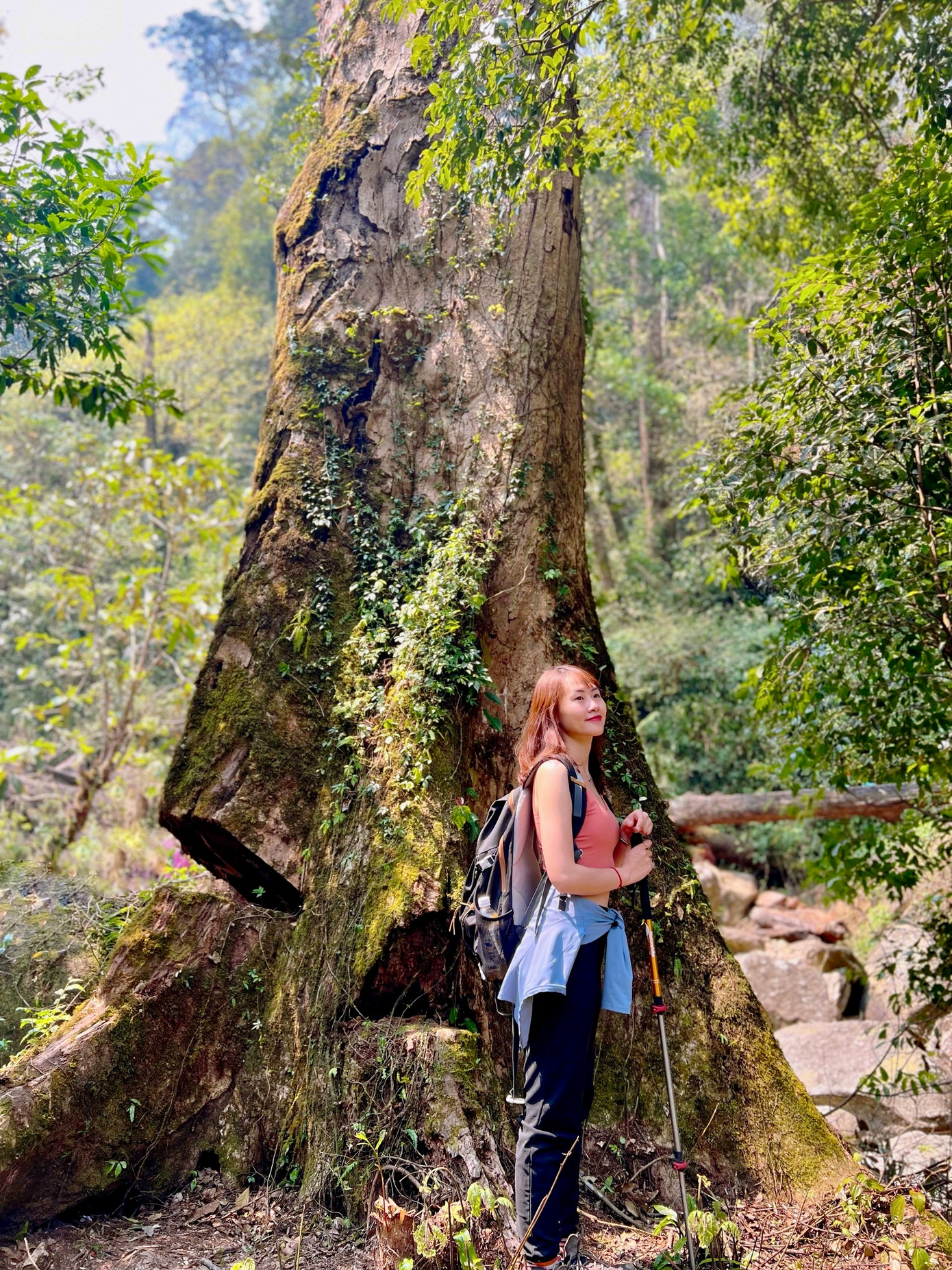 Bạn Lê My đến từ Hà Nội chia sẻ: "Leo núi sẽ có 2 dạng, một là về sẽ thề không bao giờ dám leo nữa, hai là về sẽ "bị nghiện" lại muốn đi chinh phục tiếp ngay. Ngày đầu leo núi mình tưởng dốc lắm rồi nhưng không, ngày thứ 2 vừa mở mắt đã được thử thách bằng con dốc kéo dài mãi tới đỉnh, có đoạn mình bò bằng cả 2 tay. Đổi lại sự vất vả đó, mình được ngắm hoa đỗ quyên bung nở rực rỡ, được chiêm ngưỡng vẻ đẹp thiên nhiên hùng vỹ, được đắm mình trong không khí trong lành của núi rừng...Trên hết mình đã bứt phá được giới hạn của bản thân".
