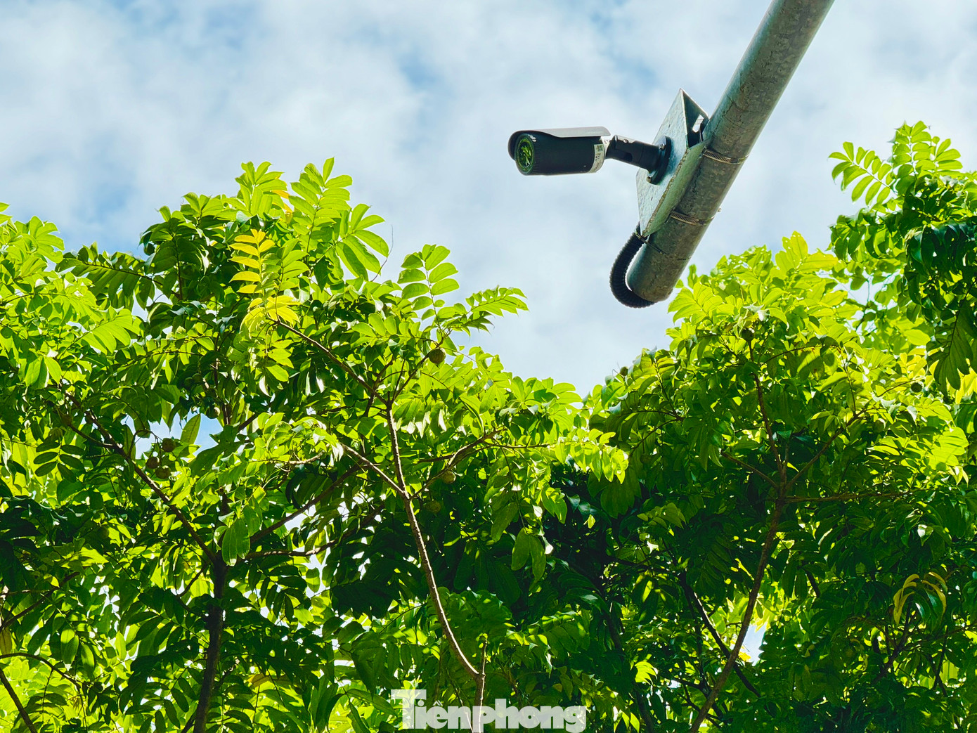 Hỗ trợ xử lý vi phạm trật tự an toàn giao thông; quản lý giao thông công cộng; quản lý sự cố; quản lý kết cấu hạ tầng giao thông; quản lý đỗ xe; quản lý thanh toán vé điện tử giao thông công cộng.