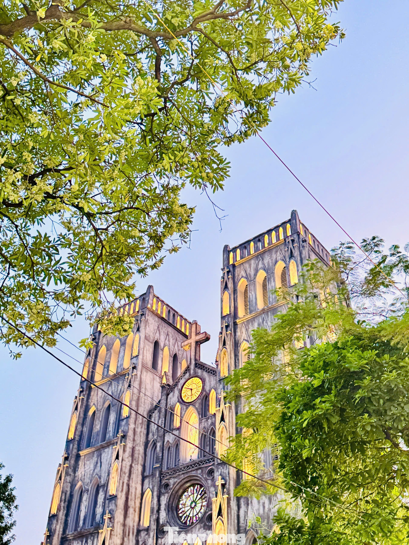 Hoa sữa trắng và hương thơm nồng nàn của loài hoa đặc trưng mùa thu này khiến người đi xa càng thêm nỗi nhớ da diết về Hà Nội.