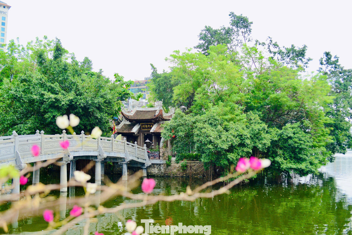 Đền Thủy Trung Tiên nằm trên đảo giữa lòng hồ Trúc Bạch. Hòn đảo này trước đây từng được gọi là “đảo cò” vì có nhiều chim về làm tổ. Đền Thủy Trung Tiên nằm trên đảo giữa lòng hồ Trúc Bạch. Hòn đảo này trước đây từng được gọi là “đảo cò” vì có nhiều chim về làm tổ.