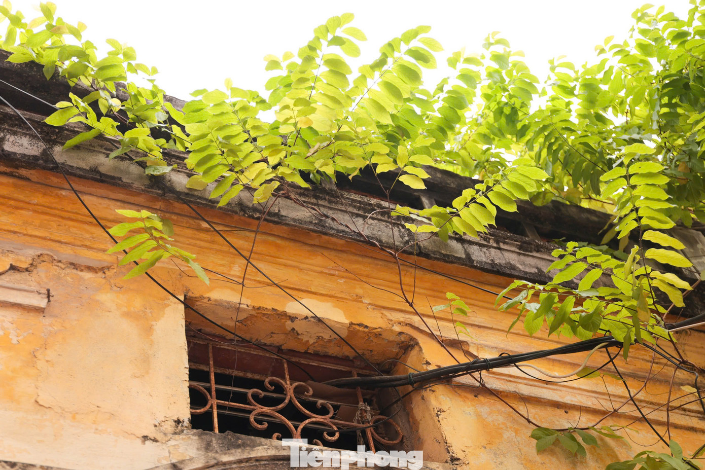 Dấu ấn thời gian không làm thay đổi nét đẹp cổ kính của những ngôi nhà.