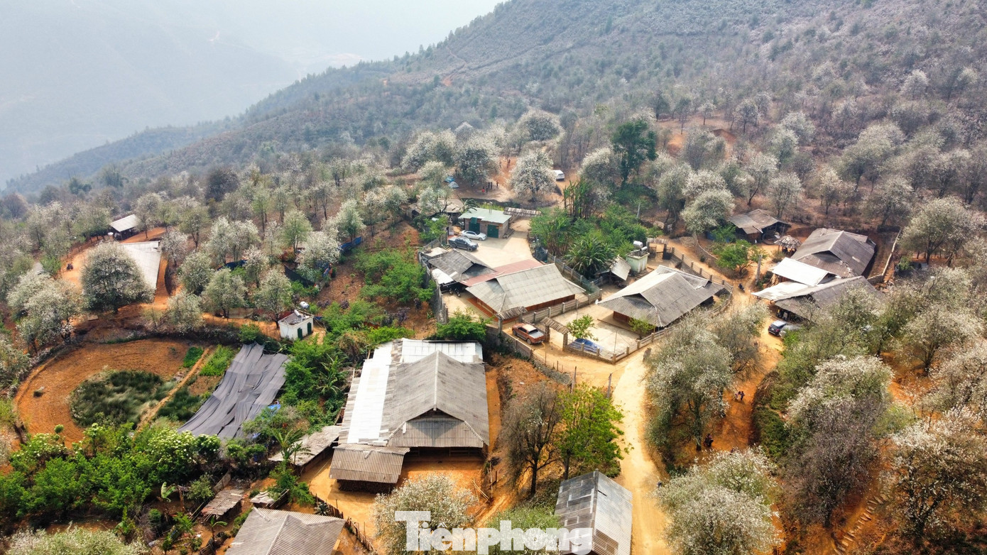 Hoa sơn tra, hay còn được biết tới với cái tên khác là hoa táo mèo, bắt đầu nở rộ từ giữa tháng 2 đến hết tháng 3. Mùa hoa có thể kéo dài hơn một tháng, níu chân du khách thập phương tìm đến.