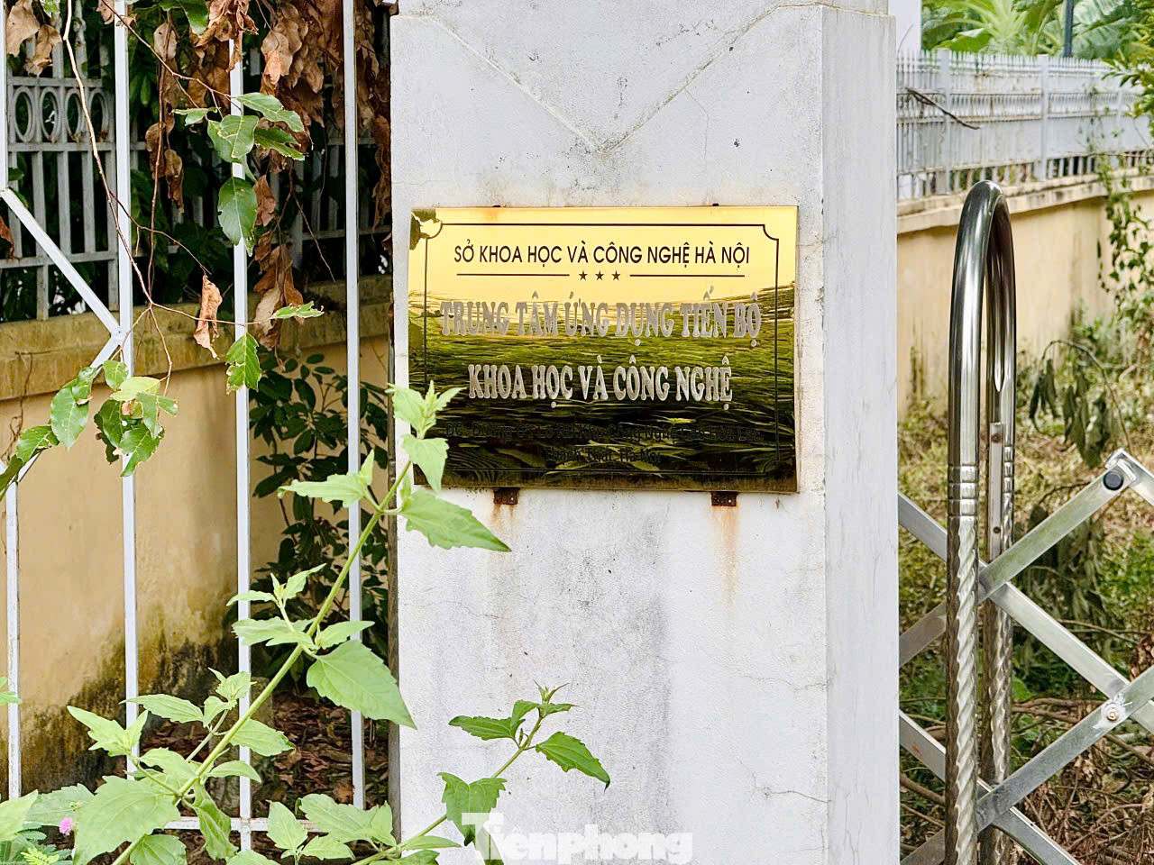 Sau 13 năm, các thiết bị tại đây hầu hết đều đã xuống cấp, nhà xưởng bị bỏ hoang. Sau 13 năm, các thiết bị tại đây hầu hết đều đã xuống cấp, nhà xưởng bị bỏ hoang.