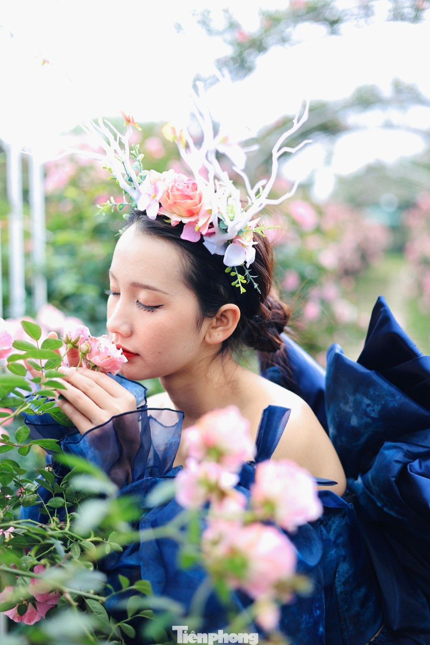 Nhiều bạn trẻ đã kỳ công lựa chọn những bộ trang phục ấn tượng nhất để chụp hình với khu vườn hồng đang độ bung nở đẹp nhất. Nhiều bạn trẻ đã kỳ công lựa chọn những bộ trang phục ấn tượng nhất để chụp hình với khu vườn hồng đang độ bung nở đẹp nhất.