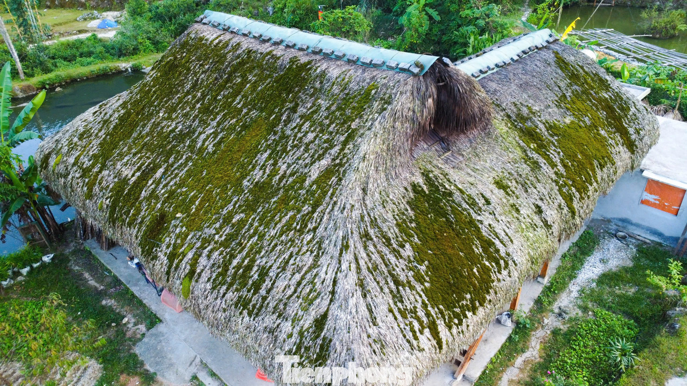 Các ngôi nhà sàn được lợp từ hàng vạn chiếc lá cọ tán rộng, sau nhiều năm phơi nắng, tắm mưa, những mái nhà đã được phủ kín bởi rêu xanh.