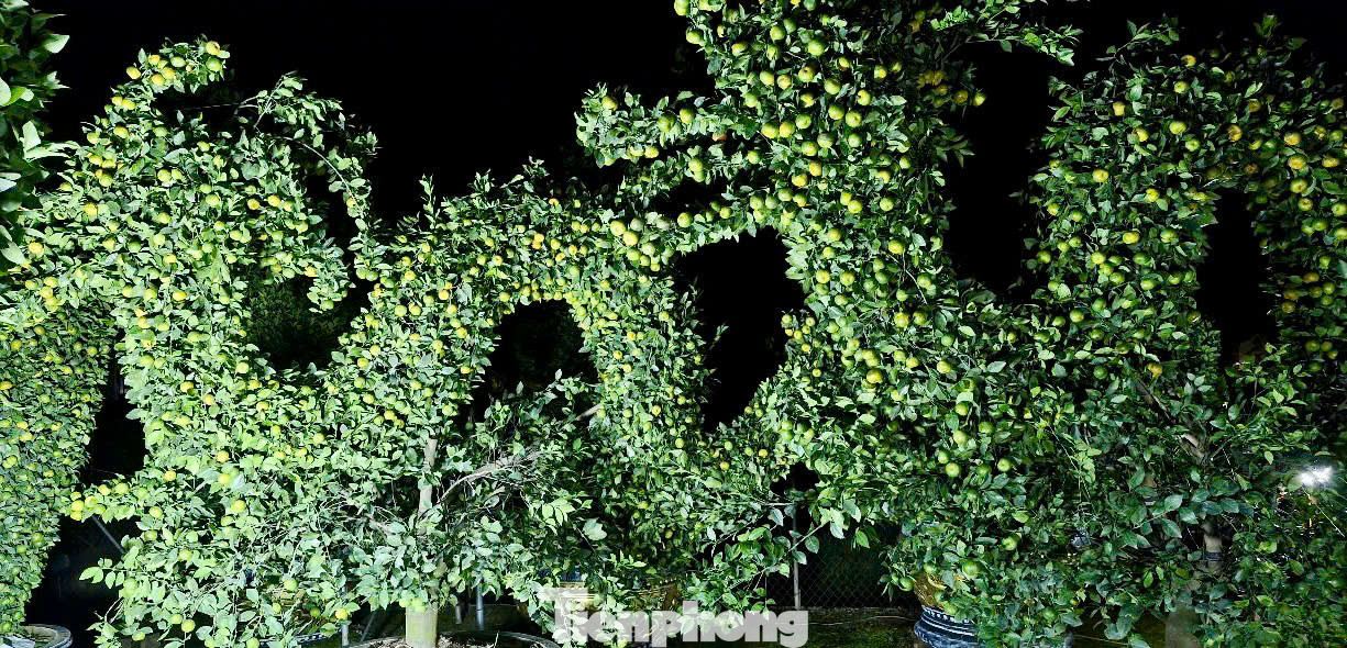 Cặp đôi rồng dài cả chục mét với giá 50 triệu đồng cũng đã được một khách hàng ở tỉnh Hà Nam đặt mua từ trung tuần tháng 12.