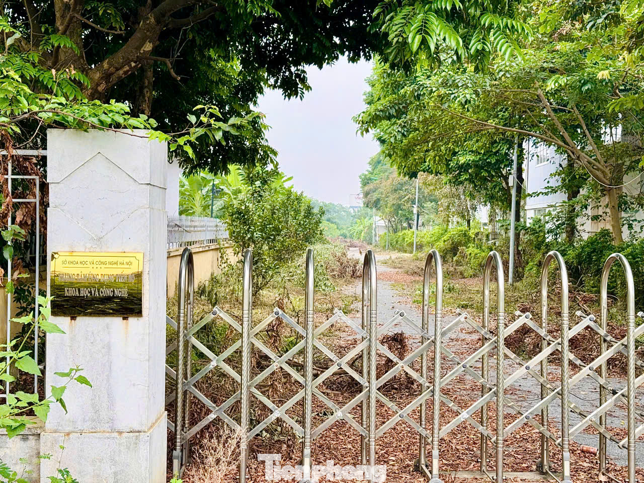 Năm 2017, Trung tâm được giao cho Ban Quản lý dự án đầu tư xây dựng dân dụng Thành phố Hà Nội tiếp nhận. UBND Thành phố Hà Nội có quyết định hợp nhất trung tâm này với Trung tâm Công nghệ sinh học và Công nghệ thực phẩm, Trung tâm Ứng dụng tiến bộ KH-CN, lấy tên là Trung tâm Ứng dụng tiến bộ khoa học và công nghệ. Năm 2017, Trung tâm được giao cho Ban Quản lý dự án đầu tư xây dựng dân dụng Thành phố Hà Nội tiếp nhận. UBND Thành phố Hà Nội có quyết định hợp nhất trung tâm này với Trung tâm Công nghệ sinh học và Công nghệ thực phẩm, Trung tâm Ứng dụng tiến bộ KH-CN, lấy tên là Trung tâm Ứng dụng tiến bộ khoa học và công nghệ.