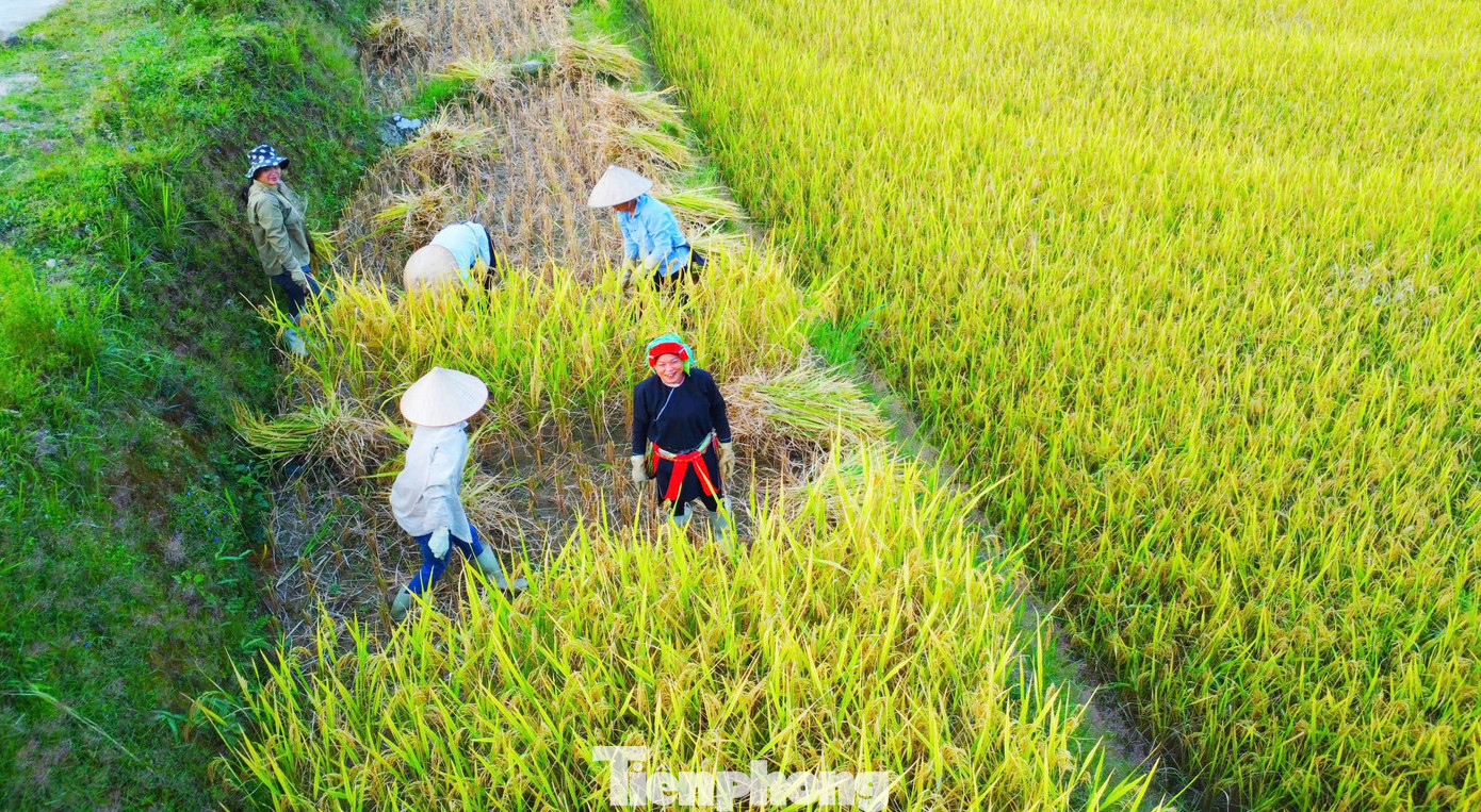 Mùa lúa ở Xà Phìn thường chín muộn hơn các vùng khác, người dân thường cấy vào giữa tháng 6, đầu tháng 7 và cho thu hoạch vào trung tuần tháng 10.