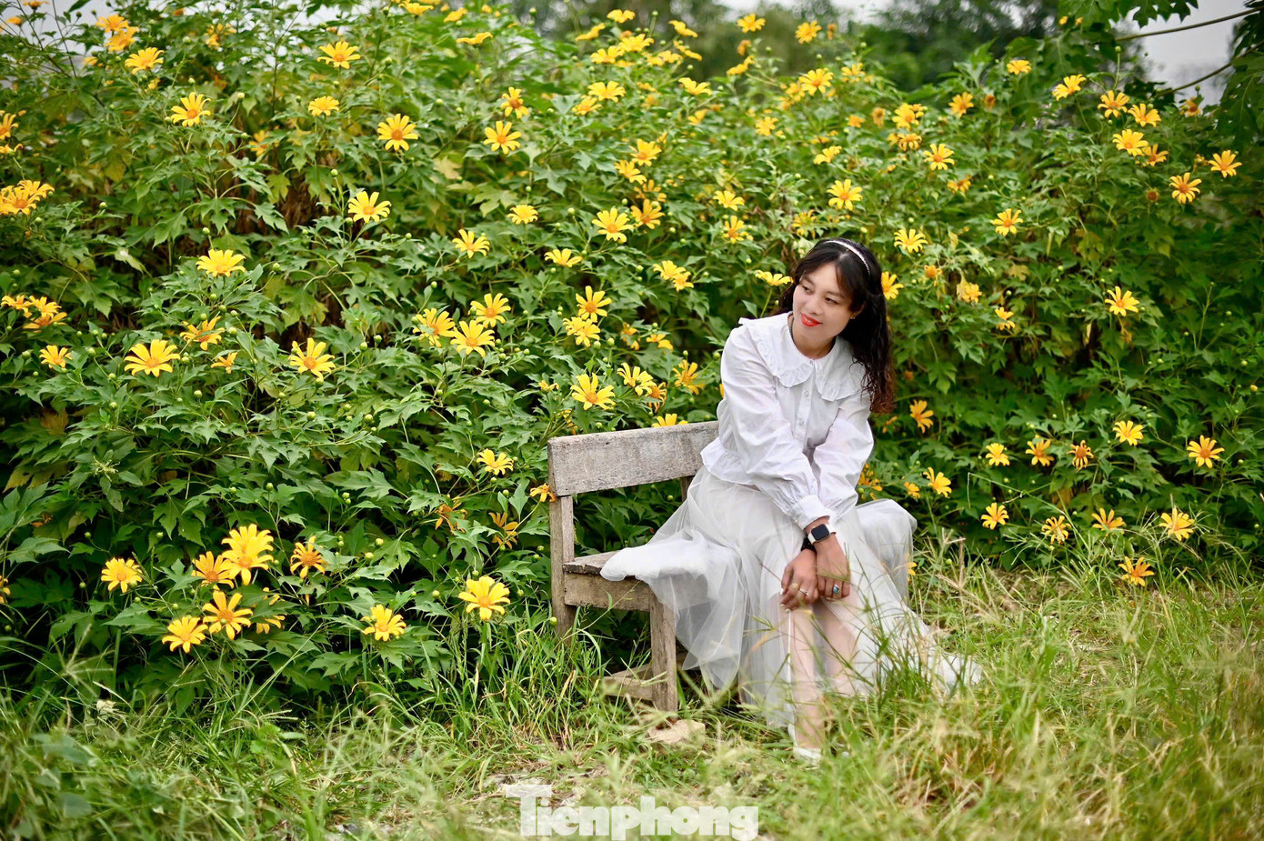 Bạn Bích Liên, (quận Cầu Giấy) chia sẻ: "Khi đến vườn hoa ở Xuân Đỉnh, bản thân rất bất ngờ trước vẻ đẹp của nơi đây, tôi cùng nhóm bạn vô cùng thích thú, đã có 1 buổi chụp hình ưng ý".