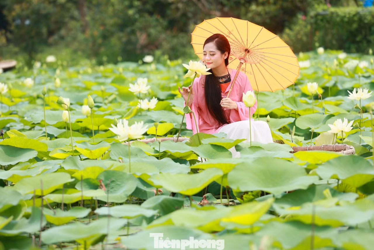 "Mình biết đến đầm sen này qua những người bạn. Mọi năm mình hay chụp với sen đỏ ở Hồ Tây, năm nay quyết định chụp sen trắng với áo dài", bạn T.Nga chia sẻ.