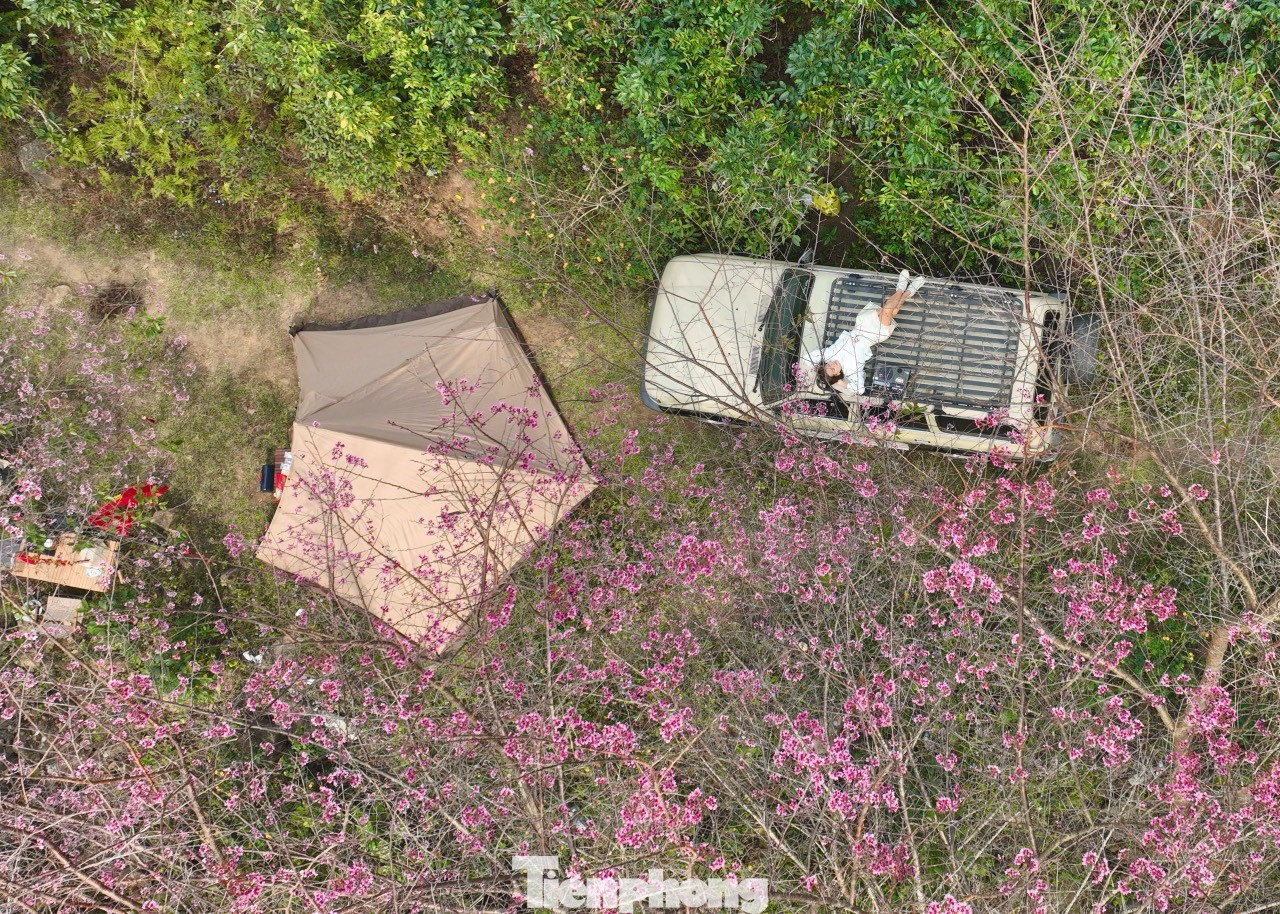 Nhiều du khách không quản ngại đường xa đã tìm về cắm trại qua đêm, đón bình minh và săn những khoảnh khắc đẹp nhất của hoa trong sương sớm.