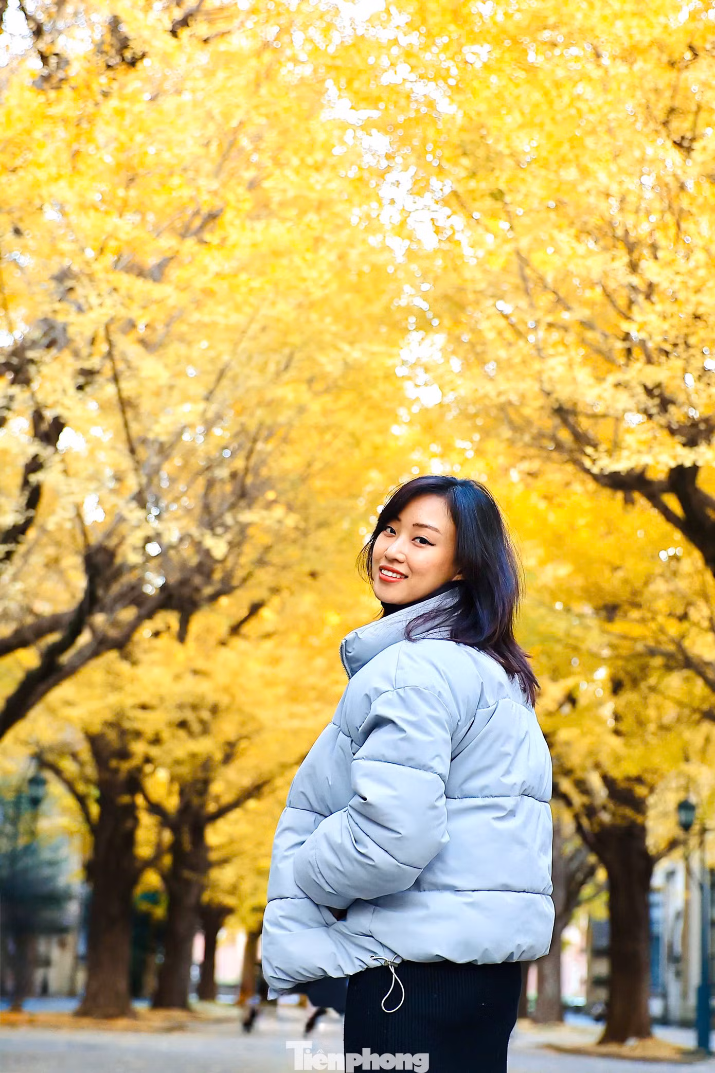 Du khách đắm mình trong không gian ngập tràn lá vàng tại Đại học Tokyo.
