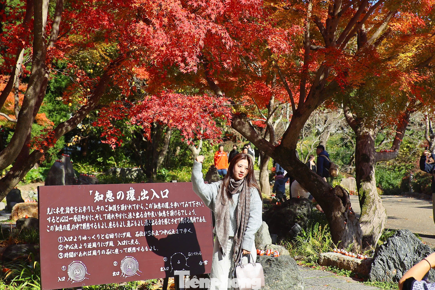 Khi lá chuyển màu tạo nên khung cảnh huyền ảo, mê hoặc.