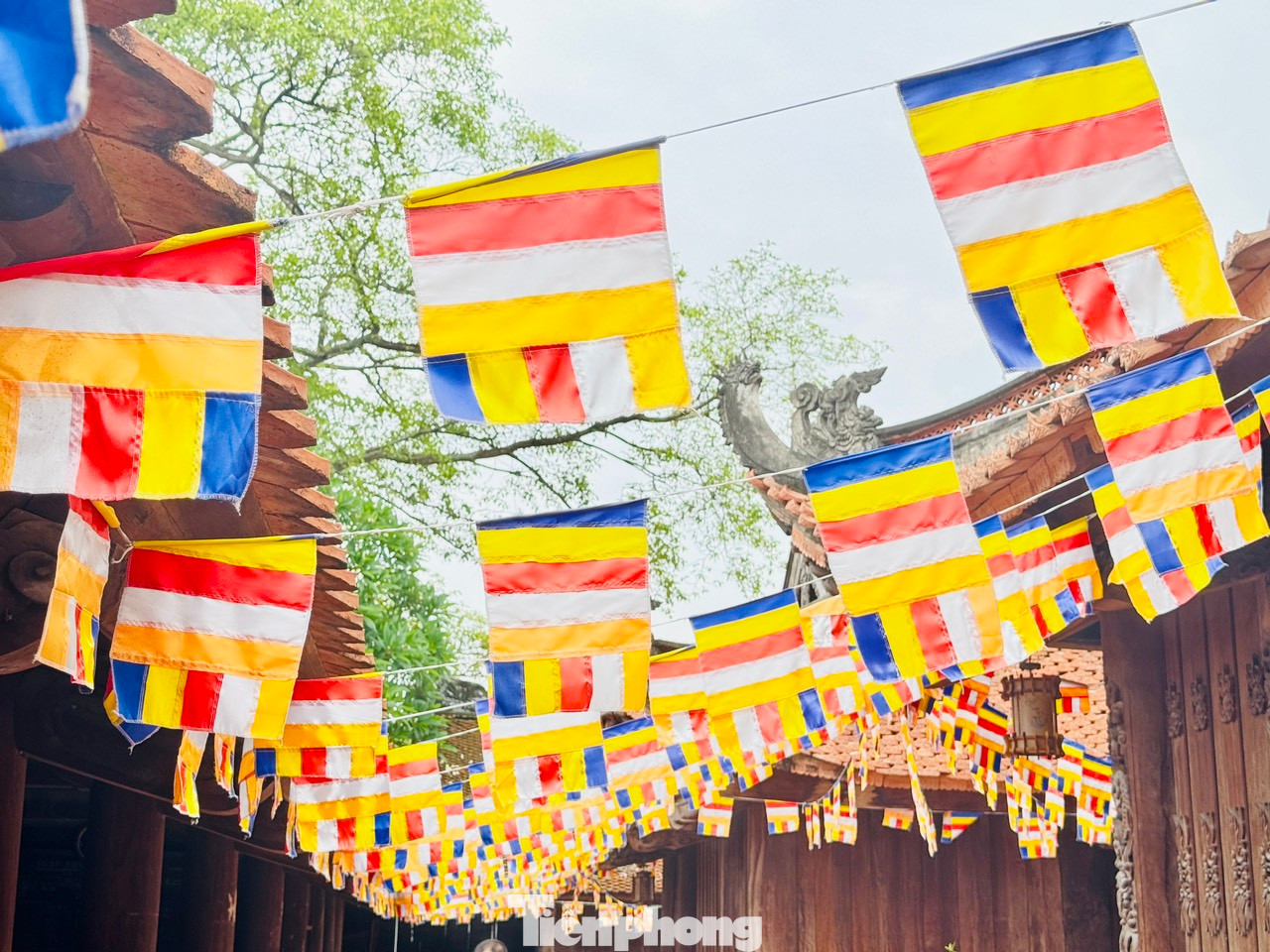 Các thông tin về thí sinh như số báo danh, phòng thi...sẽ được viết sớ và dâng lên Thượng điện Tam Bảo để làm lễ. Các thông tin về thí sinh như số báo danh, phòng thi...sẽ được viết sớ và dâng lên Thượng điện Tam Bảo để làm lễ.