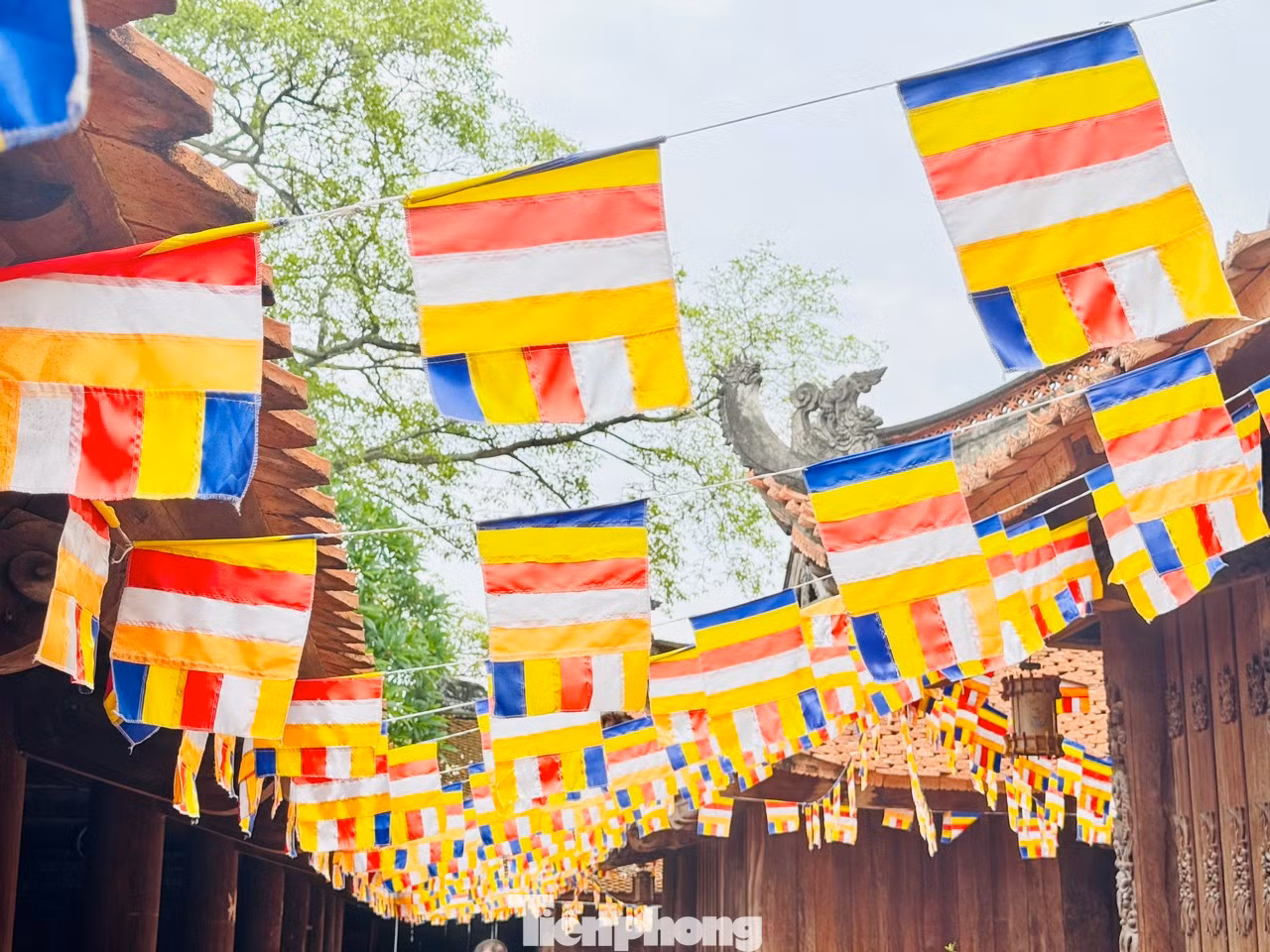 Các thông tin về thí sinh như số báo danh, phòng thi...sẽ được viết sớ và dâng lên Thượng điện Tam Bảo để làm lễ.