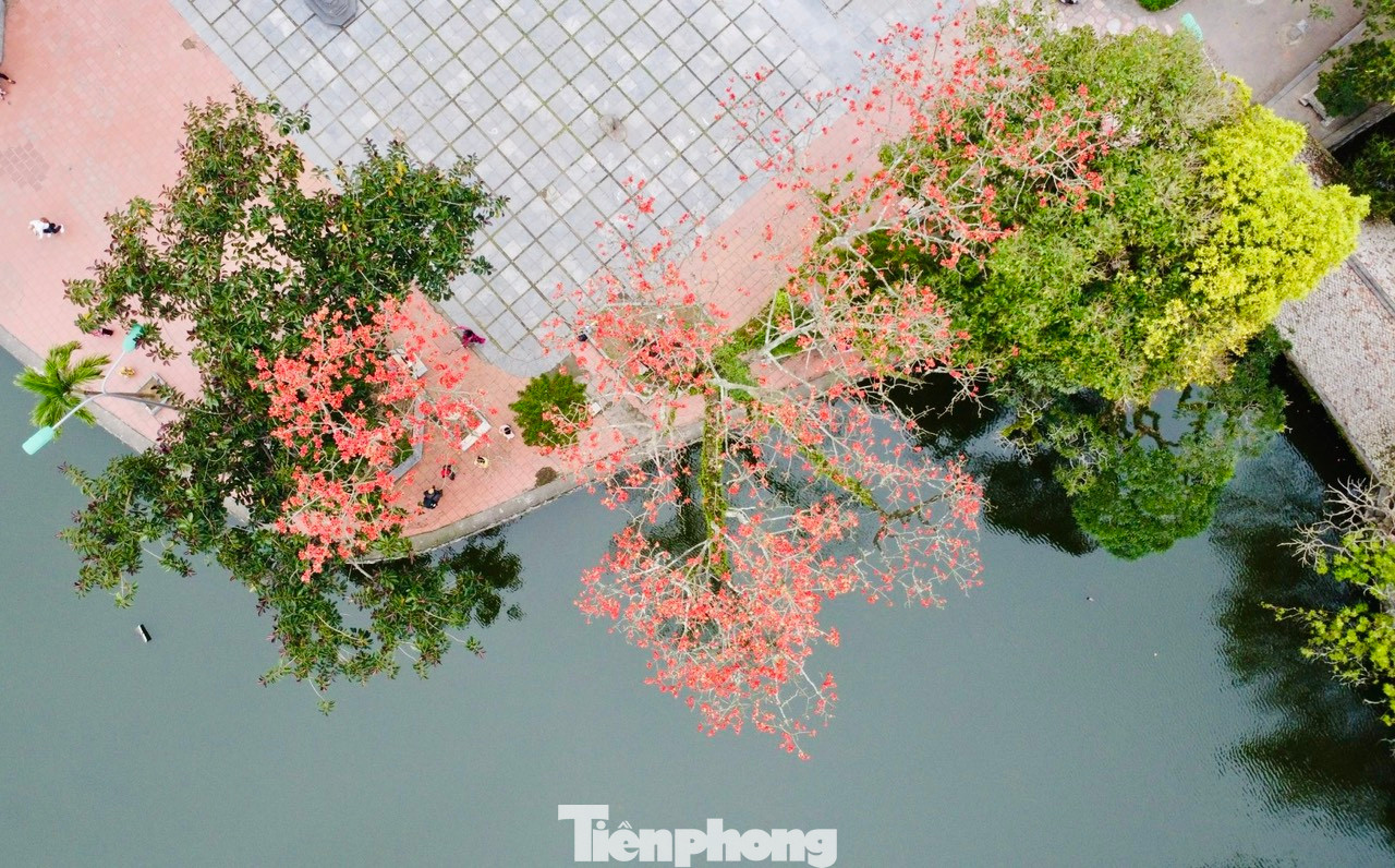 Hoa gạo đỏ rực một góc trời trong không gian trầm mặc, linh thiêng của quần thể di tích chùa Thầy.