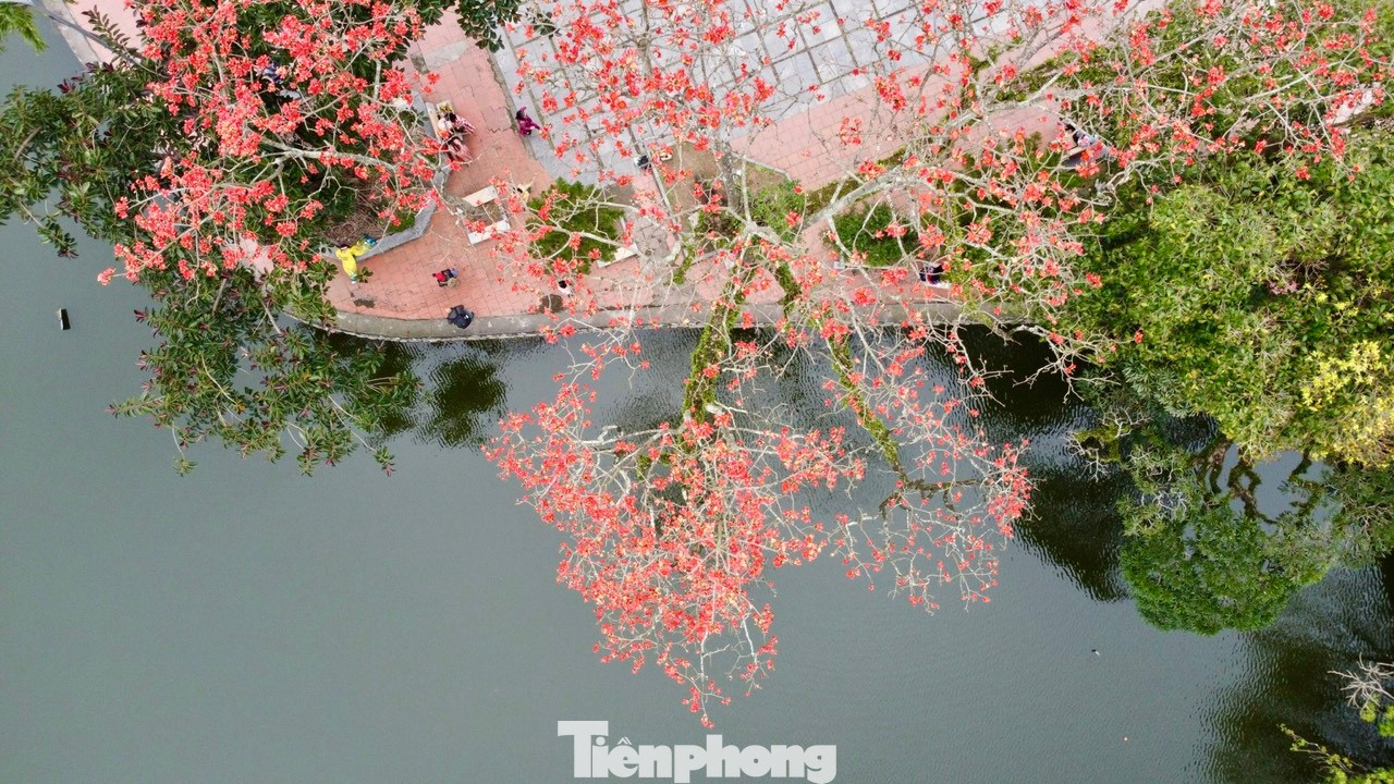 Tháng 3 về, cây gạo cổ thụ ở chùa Thầy (huyện Quốc Oai, TP Hà Nội) lại bắt đầu nở hoa, đỏ rực trong không gian ngôi cổ tự đã nghìn năm tuổi.