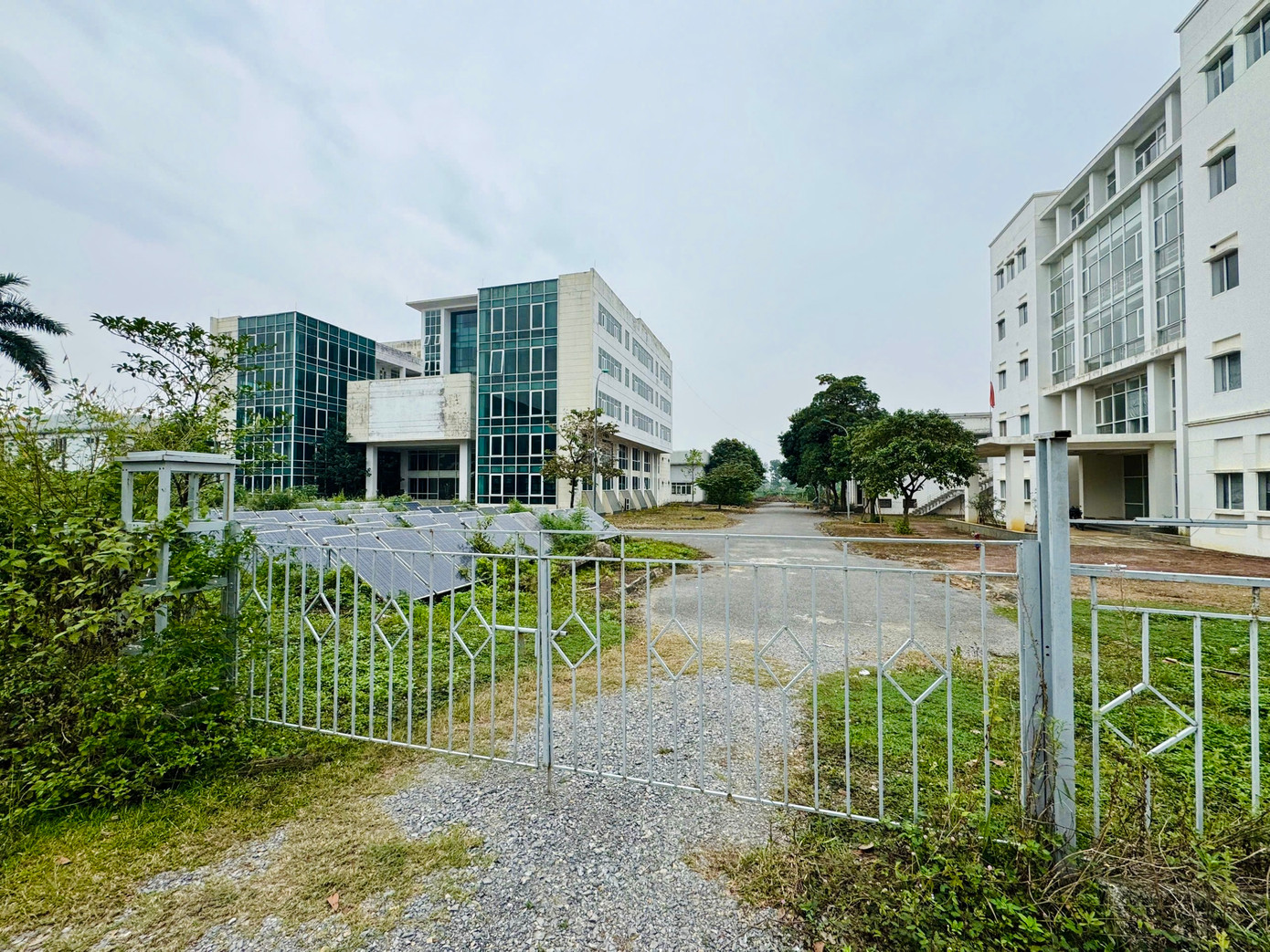 Qua ghi nhận thực tế của cơ quan chức năng, ở thời điểm hiện tại, các thiết bị thuộc Trung tâm đều đã xuống cấp, xung quanh các tòa nhà cỏ mọc um tùm. Qua ghi nhận thực tế của cơ quan chức năng, ở thời điểm hiện tại, các thiết bị thuộc Trung tâm đều đã xuống cấp, xung quanh các tòa nhà cỏ mọc um tùm.