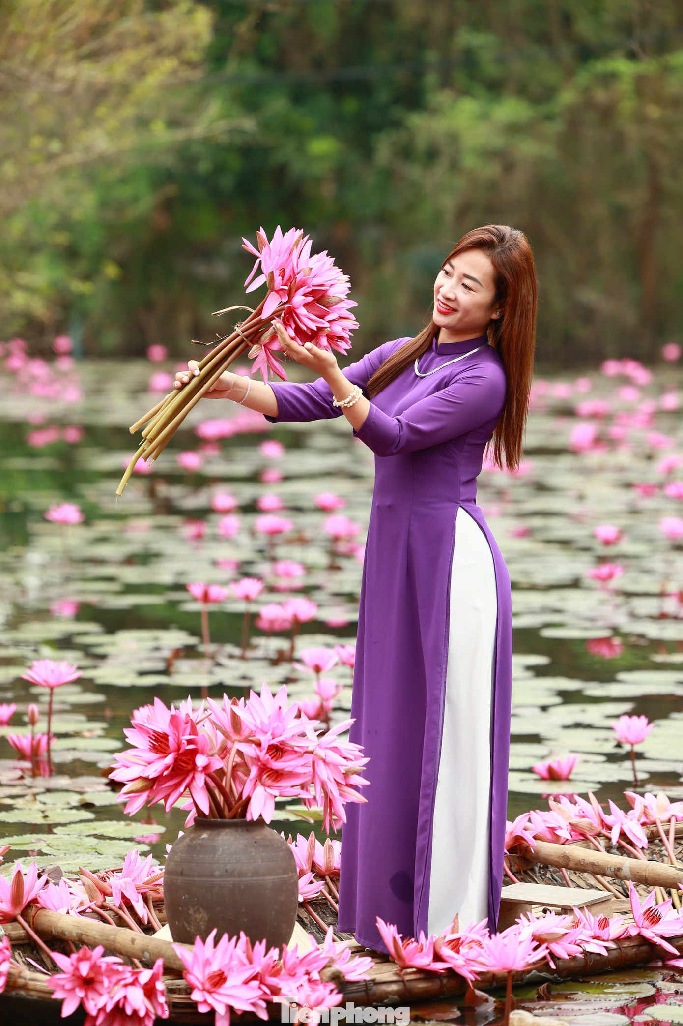 Hoa súng chỉ nở đẹp nhất vài tiếng lúc nắng sớm (khoảng từ 6-9h), khi mặt trời lên cao thì bông hoa khép cánh, chụp ảnh không còn đẹp nữa nên những tín đồ sống ảo muốn săn được bộ ảnh đẹp phải đến từ rất sớm để kịp chớp được khoảnh khắc hoa tươi, sắc thắm đẹp nhất.