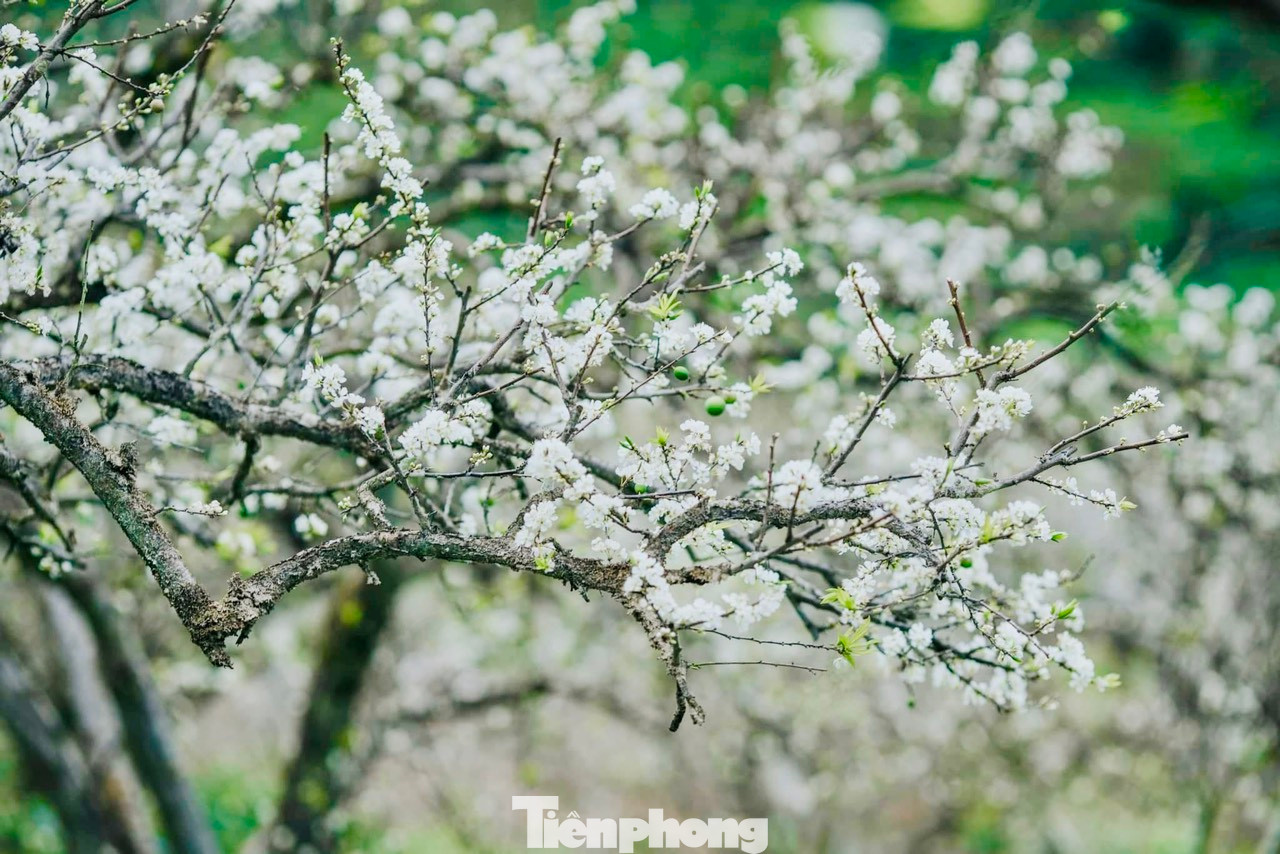 Trước cảnh sắc thiên nhiên hùng vĩ tuyệt đẹp, rất nhiều gia đình và bạn trẻ đã chọn nơi đây làm điểm đến để check-in, chụp ảnh, thỏa sức hòa mình với thiên nhiên. Trước cảnh sắc thiên nhiên hùng vĩ tuyệt đẹp, rất nhiều gia đình và bạn trẻ đã chọn nơi đây làm điểm đến để check-in, chụp ảnh, thỏa sức hòa mình với thiên nhiên.