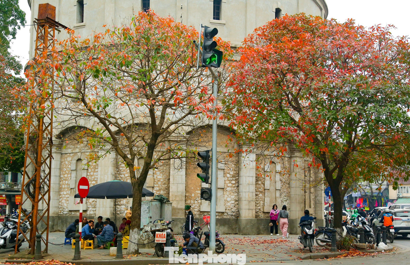 Ở nhiều góc phố Hà Nội, cây xanh bắt đầu chuyển sang sắc đỏ, vàng. Ngắm thủ đô những ngày này cứ ngỡ như đang lạc vào mùa thu rực rỡ sắc màu ở Hàn Quốc