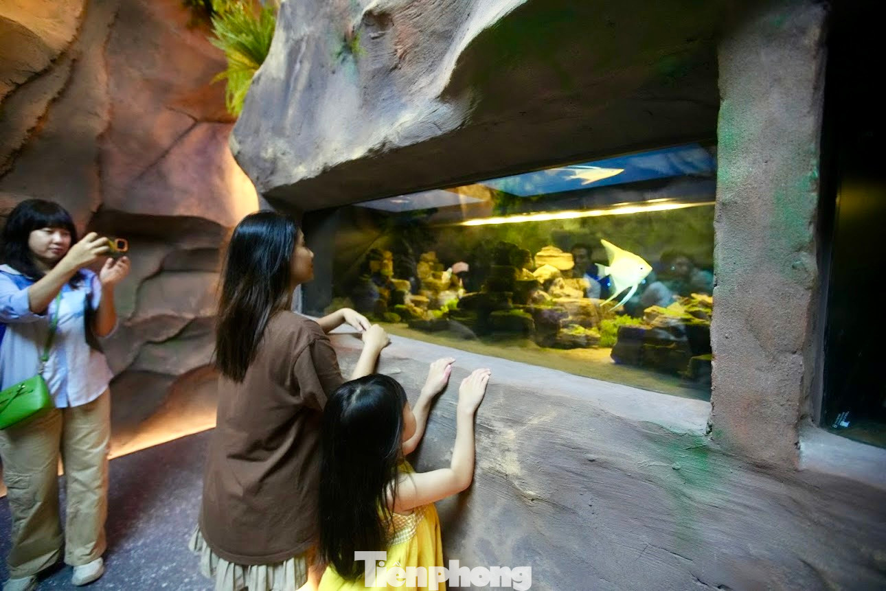 Nhiều người cho rằng, thủy cung không nước chỉ là màn trình chiếu về công nghệ nên vẫn chưa thể thỏa mãn người xem, thiếu sự tương tác với các loài cá hay rùa biển. "Tôi thấy không khác gì xem trên tivi", anh Thắng ở quận Cầu Giấy (Hà Nội) chia sẻ.