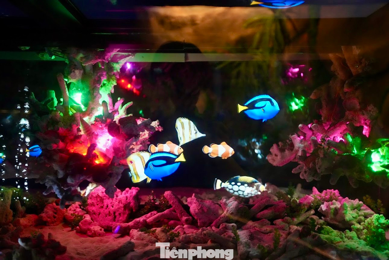 Các bể cá ứng dụng công nghệ Hologram trình chiếu để mô phỏng hình ảnh thay cho việc nuôi dưỡng cá như các bể thông thường.