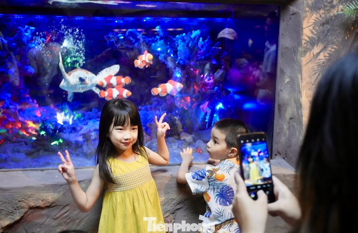 Nhiều người cho rằng, thủy cung không nước chỉ là màn trình chiếu về công nghệ nên vẫn chưa thể thỏa mãn người xem, thiếu sự tương tác với các loài cá hay rùa biển. "Tôi thấy không khác gì xem trên tivi", anh Thắng ở quận Cầu Giấy (Hà Nội) chia sẻ.