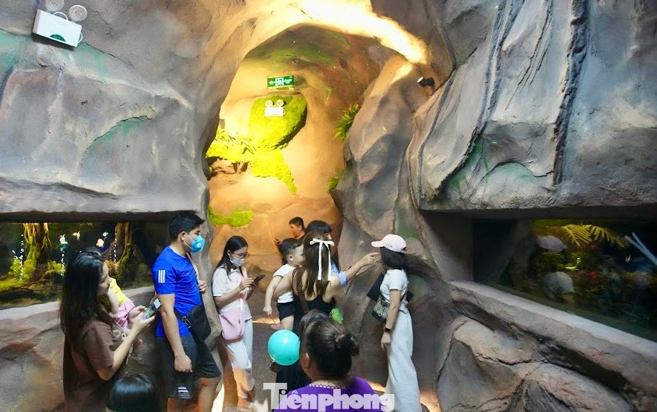 Nhiều người cho rằng, thủy cung không nước chỉ là màn trình chiếu về công nghệ nên vẫn chưa thể thỏa mãn người xem, thiếu sự tương tác với các loài cá hay rùa biển. "Tôi thấy không khác gì xem trên tivi", anh Thắng ở quận Cầu Giấy (Hà Nội) chia sẻ.