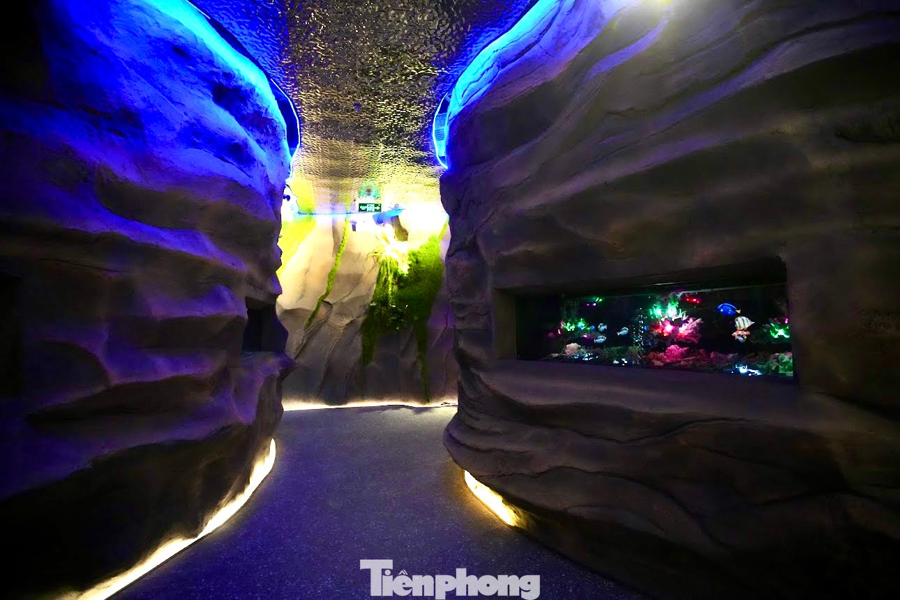 Thủy cung không nước - Waterless Aquarium ứng dụng công nghệ để mô phỏng sinh vật biển, mang đến một thế giới đại dương đầy màu sắc với nhiều hoạt động trải nghiệm thú vị dành cho khách tham quan.