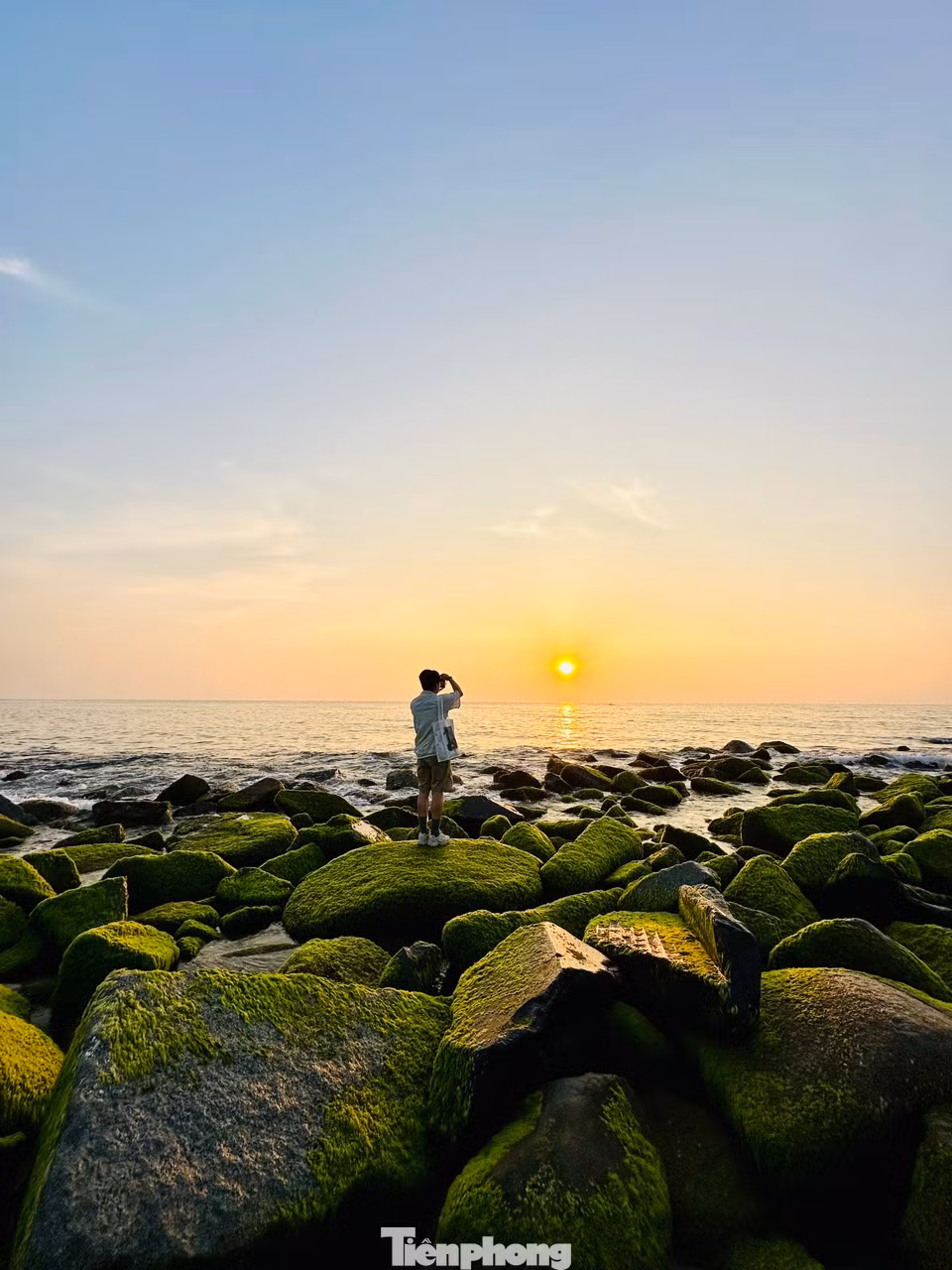 Bình mình là thời điểm ngắm biển và rêu đẹp nhất.