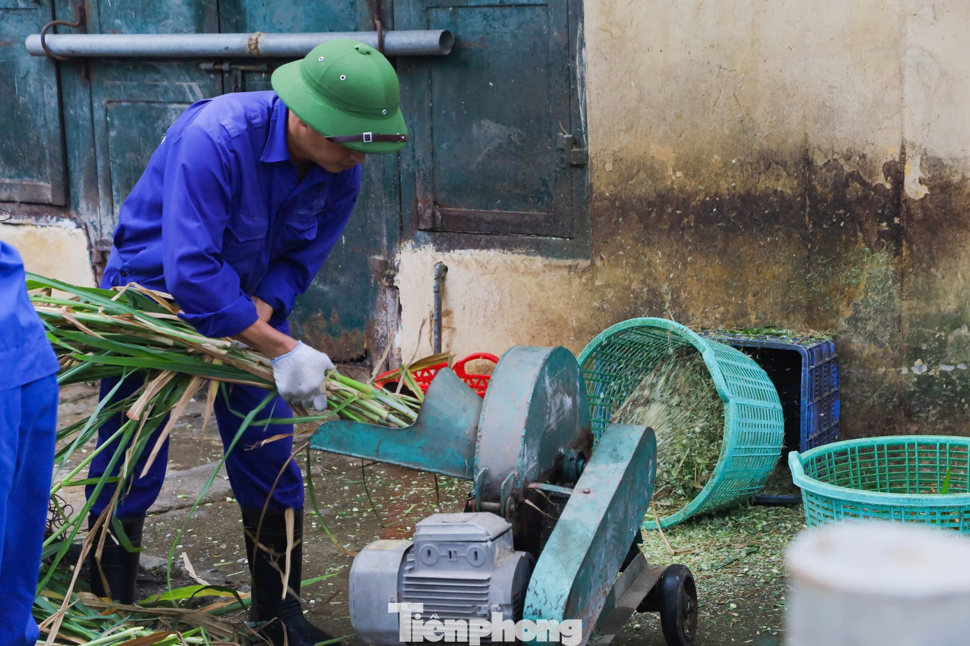 Hiện tại quá trình chăm sóc nuôi dưỡng hà mã cái và hà mã con phát triển rất là tốt, các biện pháp tăng cường chăm sóc theo được dõi 24/24h, từ theo dõi giảm mực nước trong bể xuống để cho hà mã mẹ và hà mã con được tiếp xúc cận với nhau cũng như được bú mẹ một cách tự nhiên và tốt nhất trong môi trường nước.