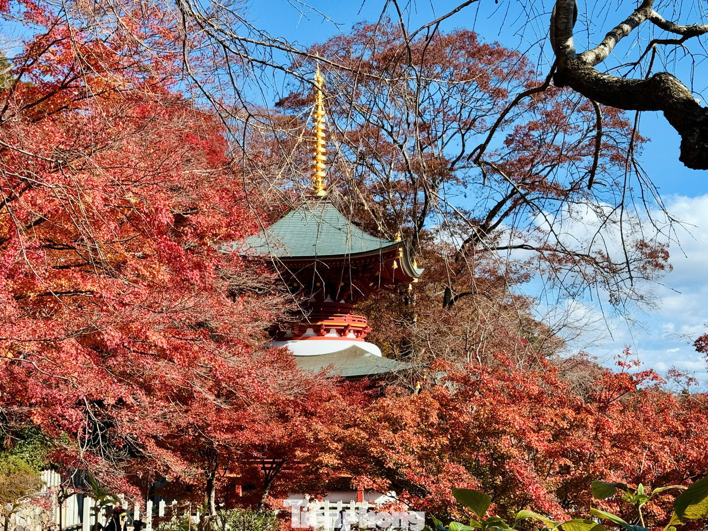 Từ lâu, cầu may với Daruma tại chùa Katsuo-ji không chỉ thu hút người Nhật mà còn hấp dẫn du khách đến từ khắp nơi trên thế giới. Từ lâu, cầu may với Daruma tại chùa Katsuo-ji không chỉ thu hút người Nhật mà còn hấp dẫn du khách đến từ khắp nơi trên thế giới.
