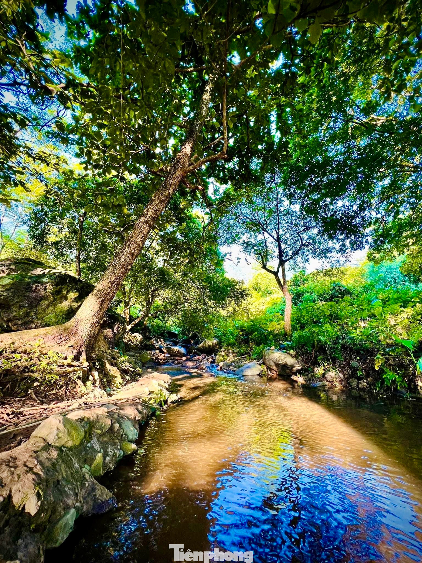 Khu vực suối rộng rãi, nước trong và sạch, hai bên bờ là những rặng cây cao, thích hợp làm điểm đến “chữa lành” cho các gia đình cũng như nhóm bạn trẻ tới trải nghiệm dã ngoại