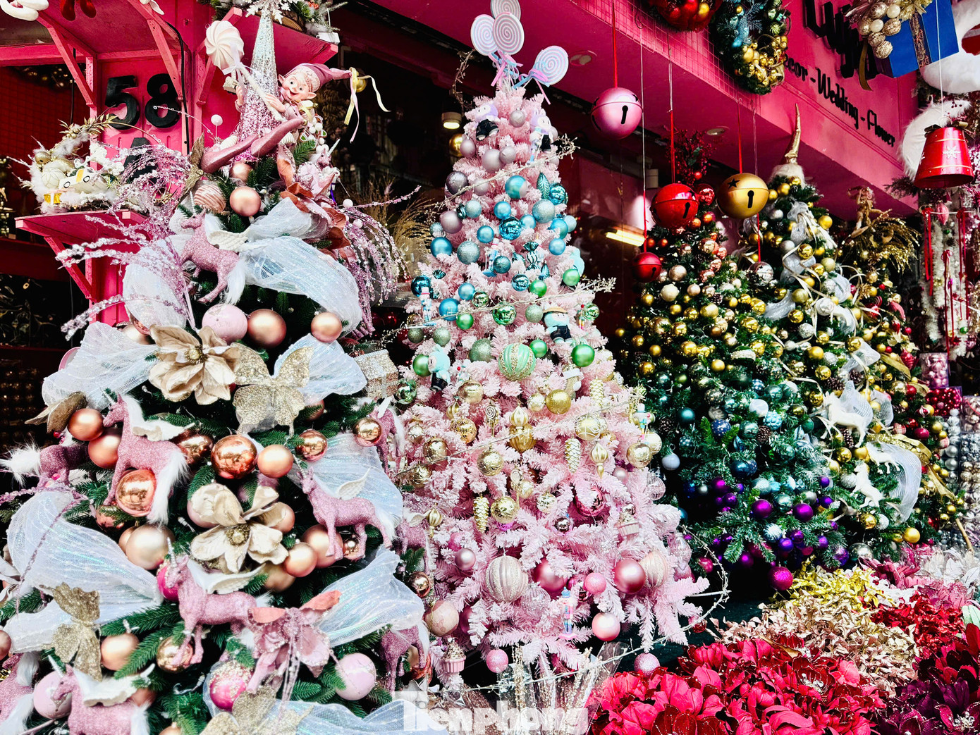 Trao đổi với PV Tiền Phong, một tiểu thương trên phố Hàng Mã cho biết: “Năm nay, với sự đa dạng về sản phẩm, mẫu mã, chủng loại hứa hẹn sẽ mang đến cho người tiêu dùng có thêm nhiều sự lựa chọn phong phú&quot;.